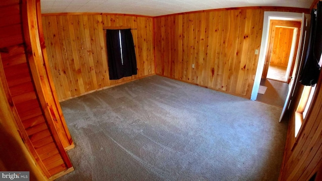 8354 Cumberland Rd, Springfield, WV 26763 - carpeted spare room featuring crown molding and wood walls