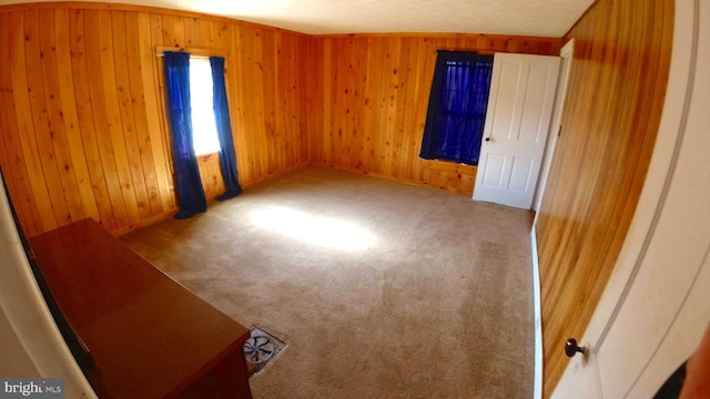 8354 Cumberland Rd, Springfield, WV 26763 - unfurnished bedroom with wood walls and carpet flooring