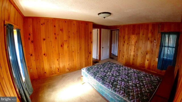 8354 Cumberland Rd, Springfield, WV 26763 - bedroom featuring carpet flooring, wood walls, baseboards, and a textured ceiling