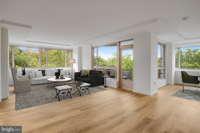 4101 Cathedral Ave NW Unit 1104, Washington, DC 20016 - living room with light wood-type flooring and baseboards