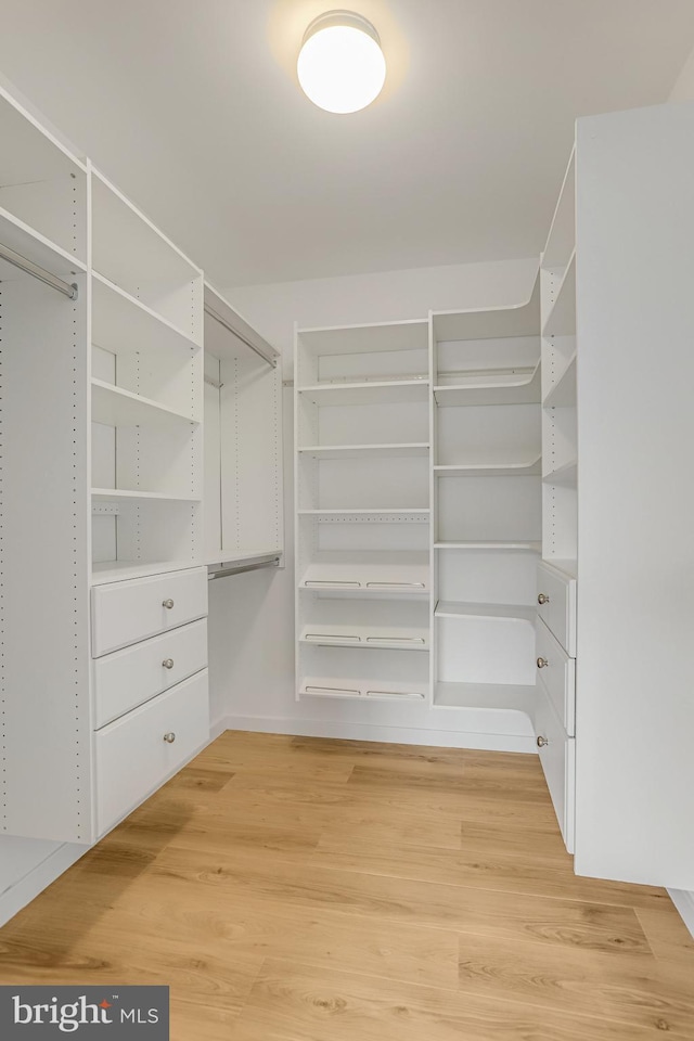 4101 Cathedral Ave NW Unit 1104, Washington, DC 20016 - spacious closet with light wood-style flooring