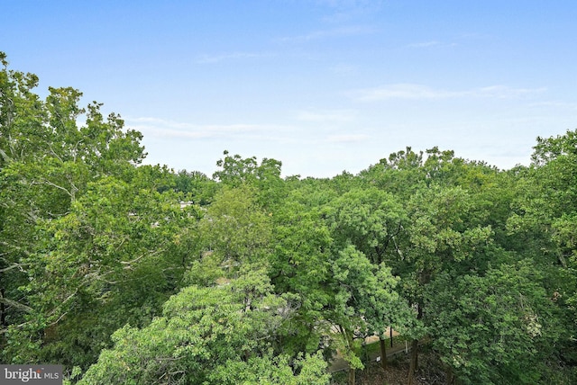 4101 Cathedral Ave NW Unit 1104, Washington, DC 20016 - view of woods