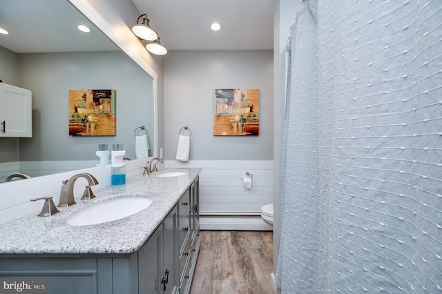 full bathroom featuring toilet, wood finished floors, wainscoting, and a sink