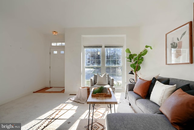 living area with carpet flooring