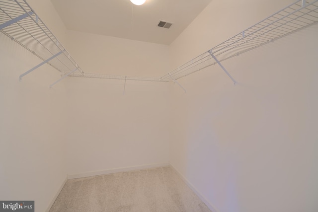 spacious closet featuring visible vents and light carpet