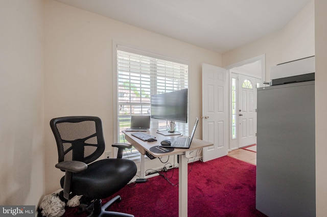 office space with carpet floors