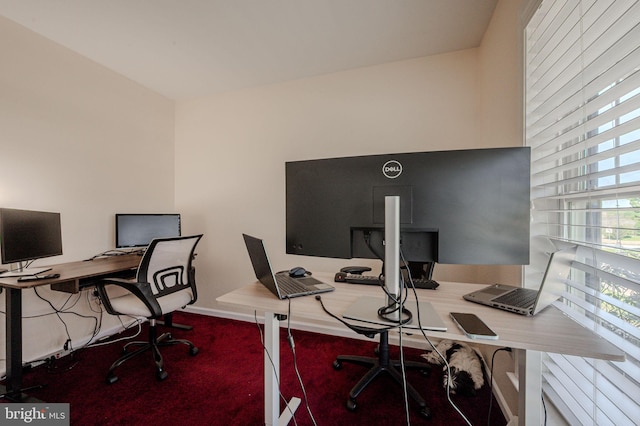 view of carpeted office space