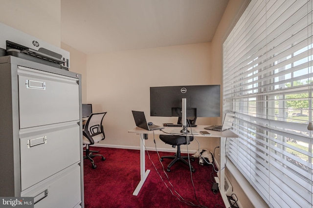 office space featuring carpet floors and baseboards