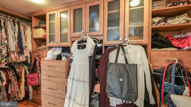 view of walk in closet