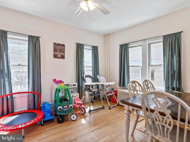 433 Williams St, Cumberland, MD 21502 - dining area featuring a textured ceiling, ceiling fan, hardwood / wood-style flooring, and a healthy amount of sunlight