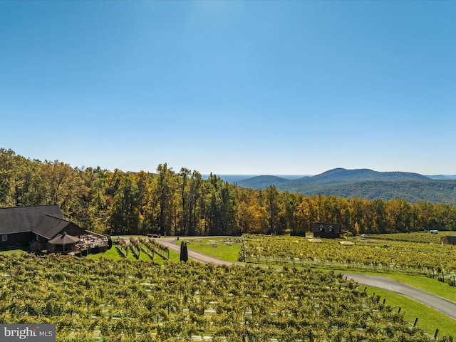 view of mountain feature with a forest view