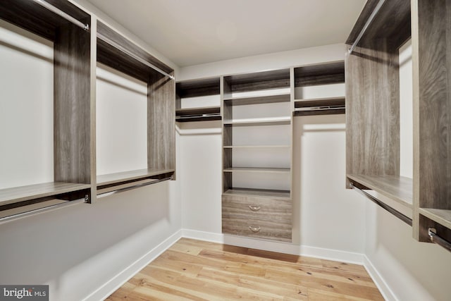 spacious closet featuring light wood-style floors