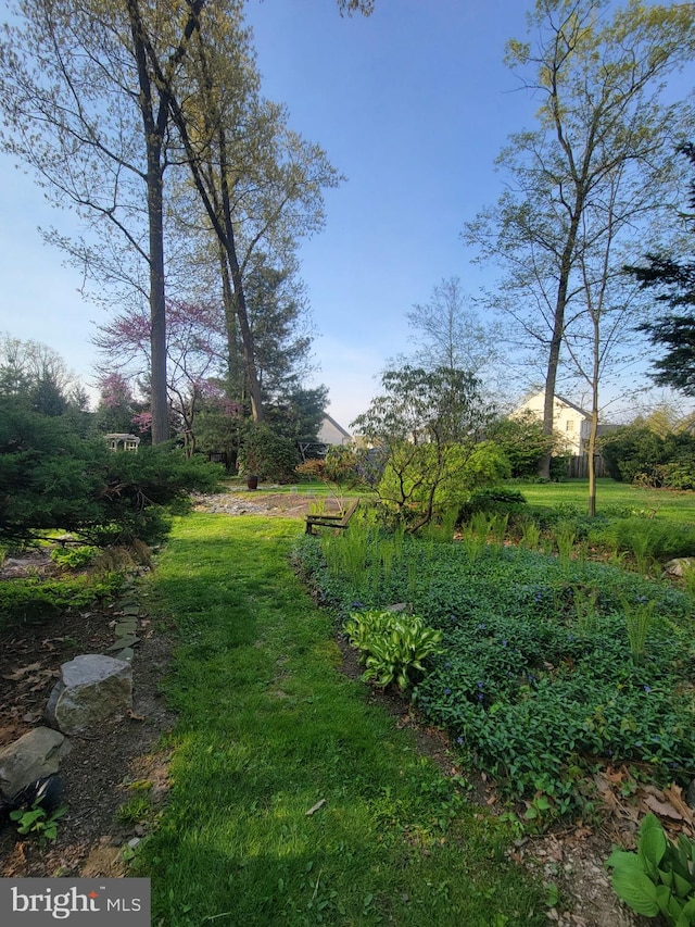 view of yard