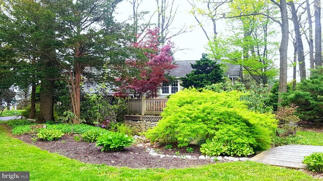view of yard with a deck