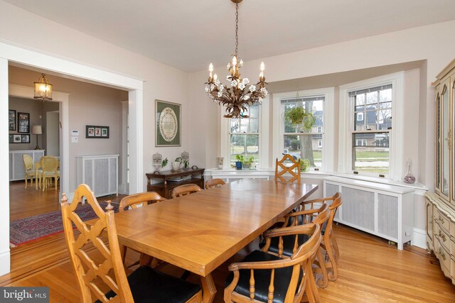 dining area featuring radiator heating unit, a chandelier, and light wood-style flooring