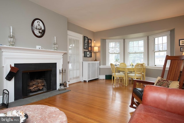 living room with wood finished floors, a fireplace, and baseboards