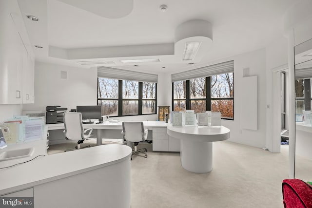 910 Pennwood Cir, Lancaster, PA 17601 - home office featuring a tray ceiling