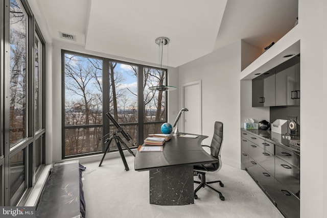 910 Pennwood Cir, Lancaster, PA 17601 - office with carpet flooring and baseboards