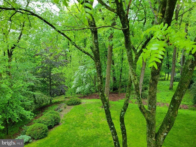 910 Pennwood Cir, Lancaster, PA 17601 - view of grassy yard