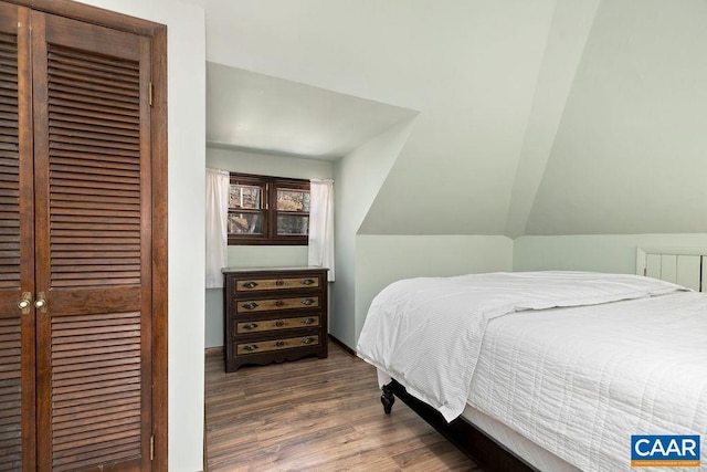 145 Firtree Dr, Wintergreen Resort, VA 22967 - bedroom with lofted ceiling, wood finished floors, and a closet