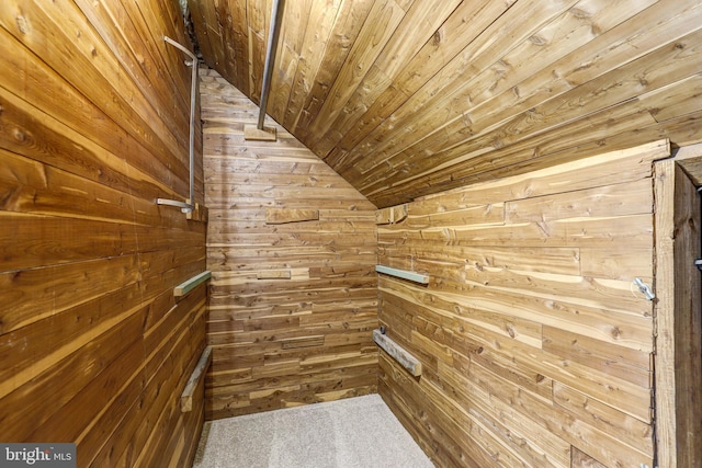 spacious closet featuring lofted ceiling and carpet floors