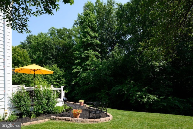8725 Warm Waves Way Unit 10, Columbia, MD 21045 - view of green lawn