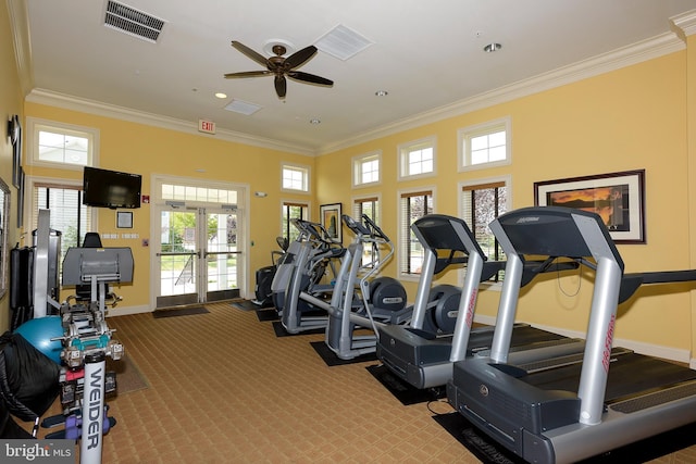 8725 Warm Waves Way Unit 10, Columbia, MD 21045 - exercise room with ornamental molding, a ceiling fan, baseboards, plenty of natural light, and carpet