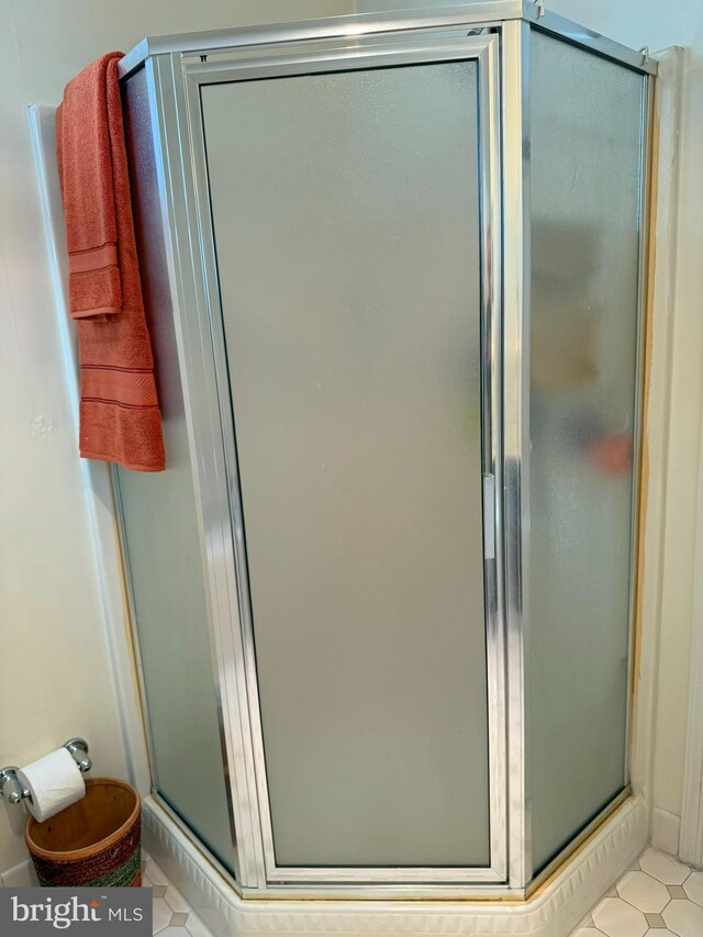 22 Chilmark Ct, Bear, DE 19701 - bathroom featuring tile patterned floors and a shower stall
