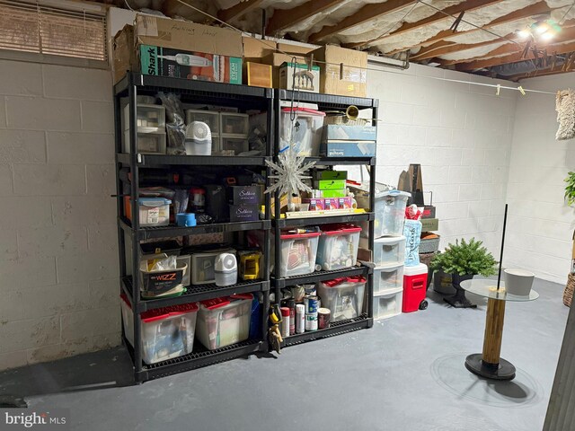 22 Chilmark Ct, Bear, DE 19701 - view of storage room