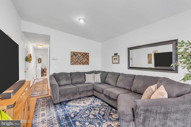 living room featuring wood finished floors