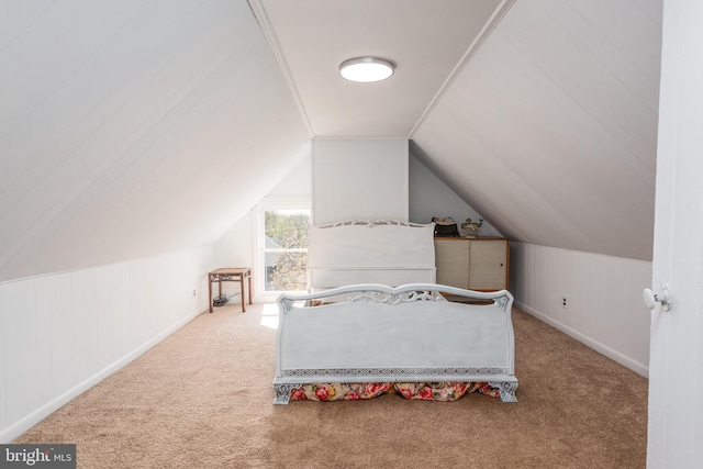 100 Wall St, Queenstown, MD 21658 - carpeted bedroom with baseboards and lofted ceiling
