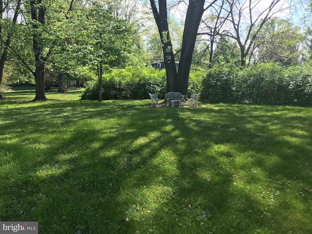 8012 Exodus Dr, Gaithersburg, MD 20882 - view of grassy yard