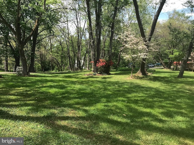 8012 Exodus Dr, Gaithersburg, MD 20882 - view of grassy yard