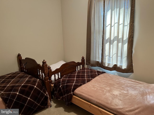 385 Elk Crk, Aaronsburg, PA 16820 - view of carpeted bedroom