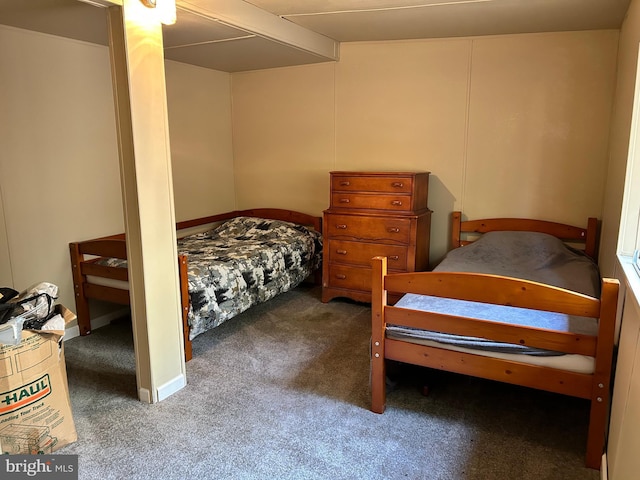 385 Elk Crk, Aaronsburg, PA 16820 - view of carpeted bedroom