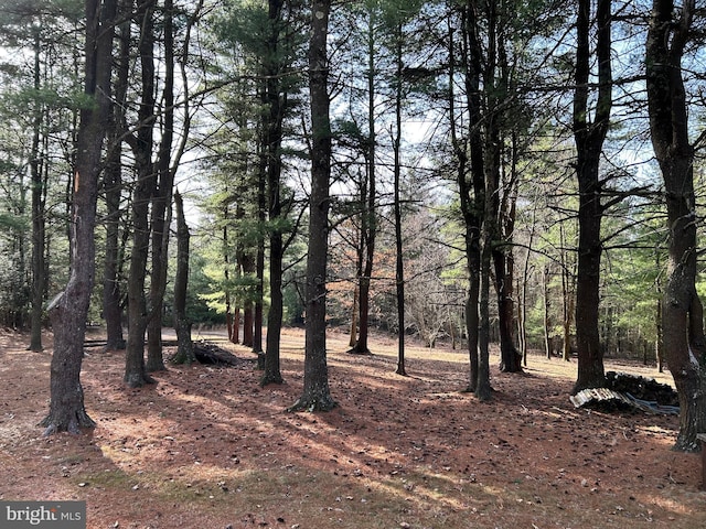 385 Elk Crk, Aaronsburg, PA 16820 - view of local wilderness