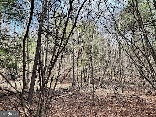385 Elk Crk, Aaronsburg, PA 16820 - view of local wilderness featuring a forest view
