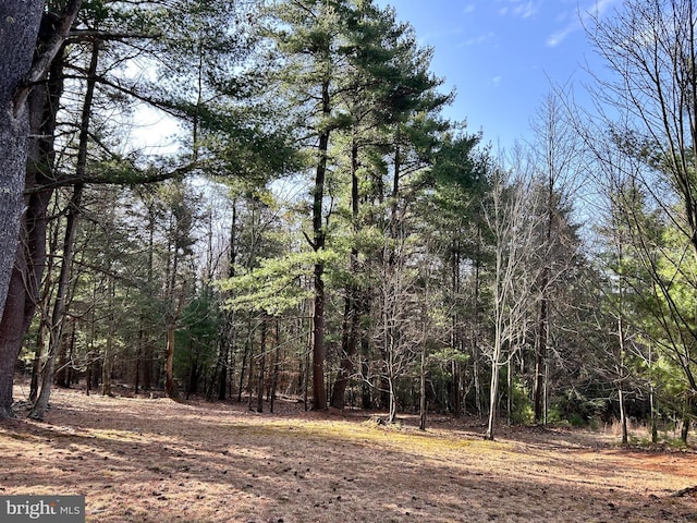 385 Elk Crk, Aaronsburg, PA 16820 - view of nature with a wooded view