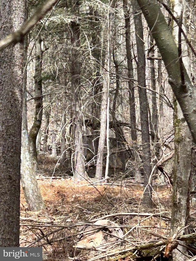 385 Elk Crk, Aaronsburg, PA 16820 - view of local wilderness