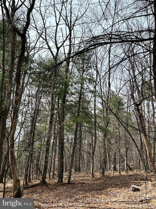 385 Elk Crk, Aaronsburg, PA 16820 - view of nature