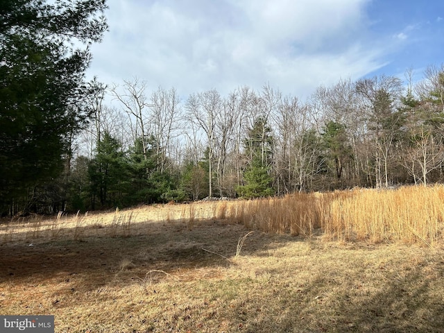 385 Elk Crk, Aaronsburg, PA 16820 - view of nature
