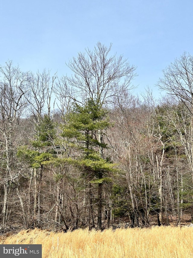 385 Elk Crk, Aaronsburg, PA 16820 - view of nature