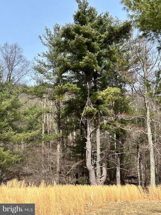 385 Elk Crk, Aaronsburg, PA 16820 - view of local wilderness