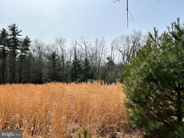 385 Elk Crk, Aaronsburg, PA 16820 - view of nature