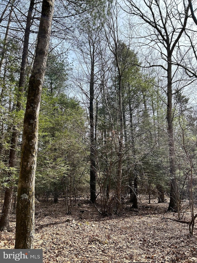 385 Elk Crk, Aaronsburg, PA 16820 - view of nature
