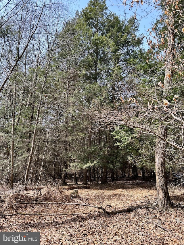 385 Elk Crk, Aaronsburg, PA 16820 - view of nature