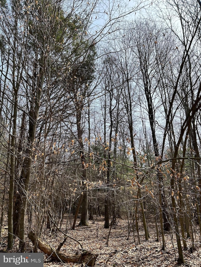 385 Elk Crk, Aaronsburg, PA 16820 - view of landscape