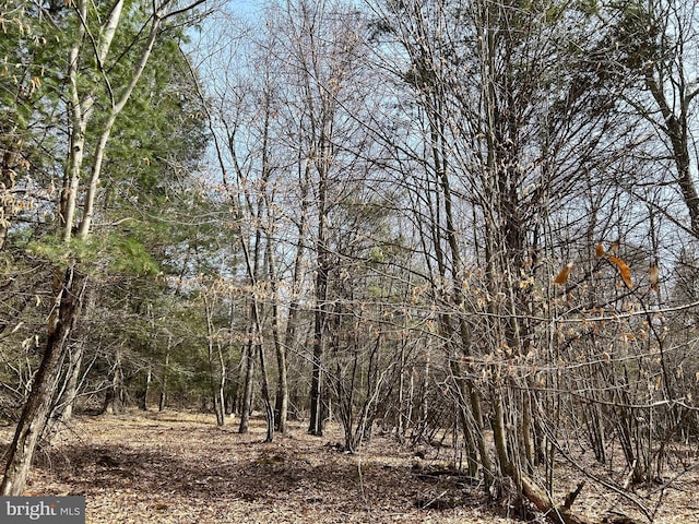 385 Elk Crk, Aaronsburg, PA 16820 - view of nature