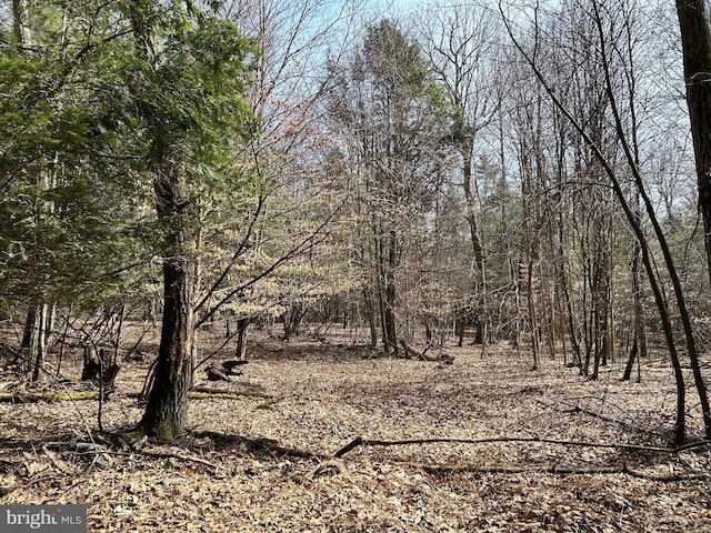 385 Elk Crk, Aaronsburg, PA 16820 - view of nature with a forest view