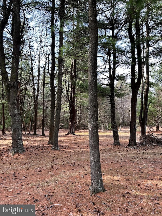 385 Elk Crk, Aaronsburg, PA 16820 - view of nature